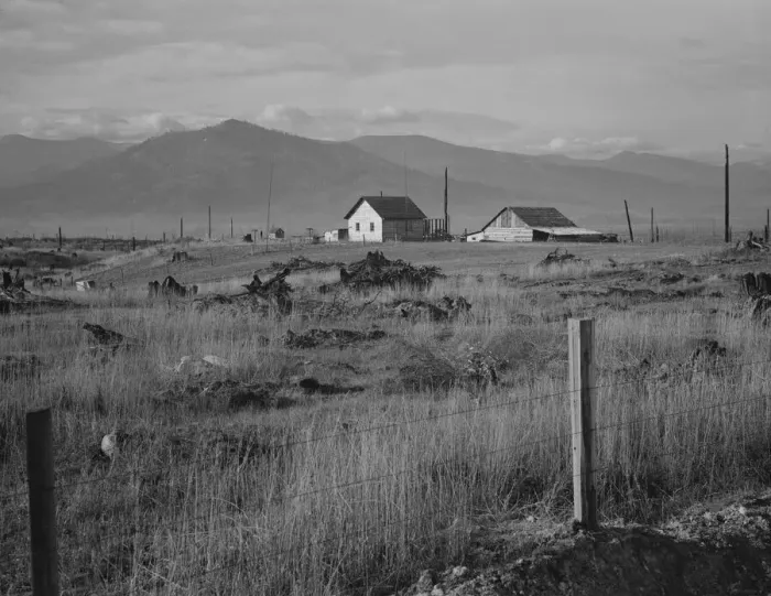 Framed Print : New home, new fence, newly cleared land of farme... Priest River Valley, Bonner County, Idaho, 1939 Creator: Dorothea Lange Framed Print : New home, new fence, newly cleared land of farme... Priest River Valley, Bonner County, Idaho, 1939 Creator: Dorothea Lange