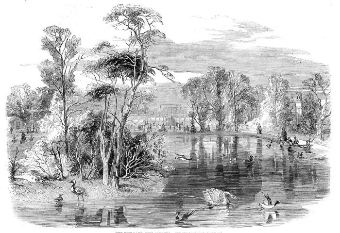 Framed Print : The new lake, Kew Gardens, 1860. Creator: Unknown Framed Print : The new lake, Kew Gardens, 1860. Creator: Unknown
