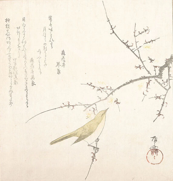 New Moon; Nightingale on a Plum Branch, 19th century. 19th century. Creator: Shinsai