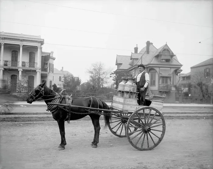 Framed Print : New Orleans milk cart, New Orleans, Louisiana, between 1900 and 1910. Creator: Unknown Framed Print : New Orleans milk cart, New Orleans, Louisiana, between 1900 and 1910. Creator: Unknown
