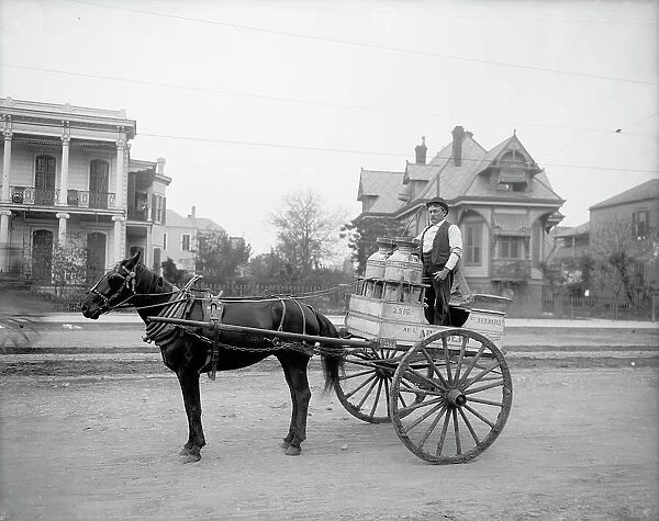 New Orleans milk cart, New Orleans, Louisiana, between 1900 and 1910. Creator: Unknown