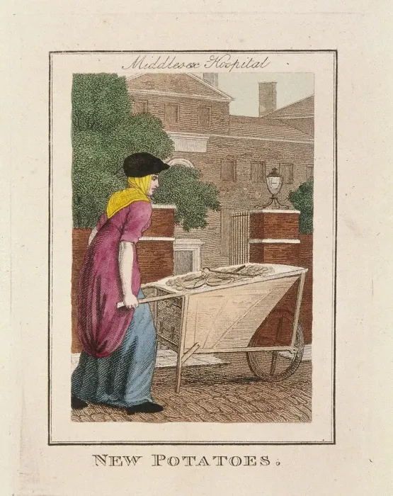 Framed Print : New Potatoes, Cries of London, 1804 Framed Print : New Potatoes, Cries of London, 1804