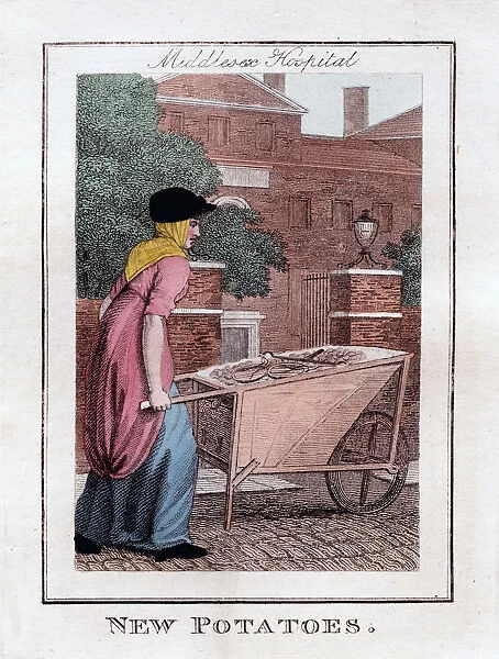New Potatoes, Middlesex Hospital, London, 1805