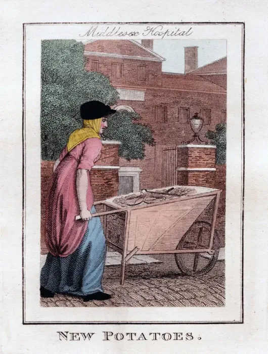 Framed Print : New Potatoes, Middlesex Hospital, London, 1805 Framed Print : New Potatoes, Middlesex Hospital, London, 1805