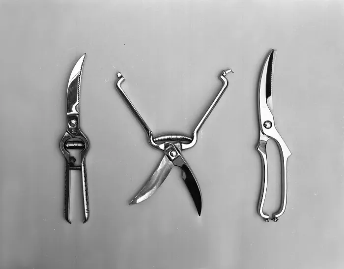 Framed Print : The new range of secateurs and pruners from Champion scissors of Mexborough, South Yorkshire Framed Print : The new range of secateurs and pruners from Champion scissors of Mexborough, South Yorkshire