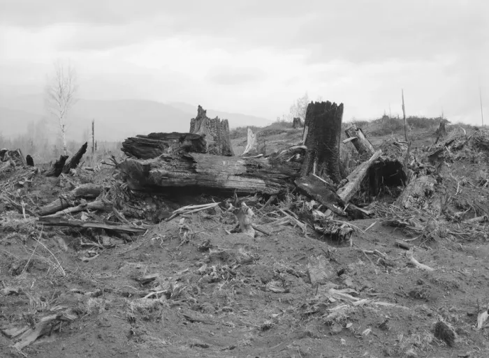 Framed Print : New settlers shack at foot of hills on poor sandy soil, Boundary County, Idaho, 1939. Creator: Dorothea Lange Framed Print : New settlers shack at foot of hills on poor sandy soil, Boundary County, Idaho, 1939. Creator: Dorothea Lange