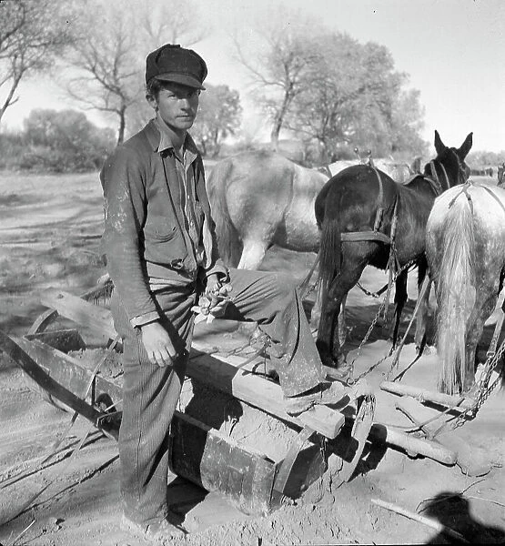 A new start, Bosque Farms project, New Mexico, 1935. Creator: Dorothea Lange