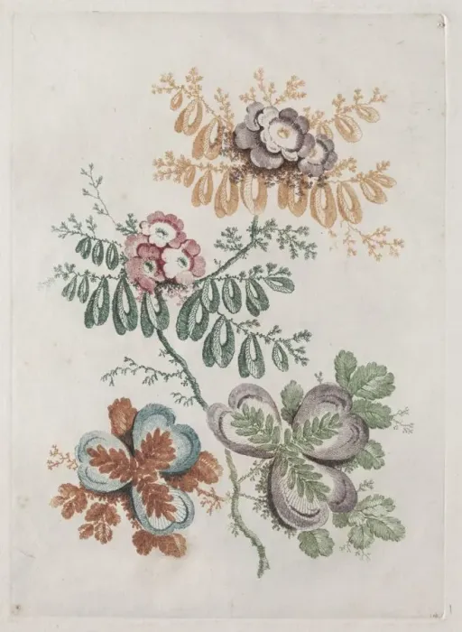 Framed Print : New Suite of Portfolios of Flowers Ideal to Use for Designing and Painting: Floral Fantasies, c Framed Print : New Suite of Portfolios of Flowers Ideal to Use for Designing and Painting: Floral Fantasies, c