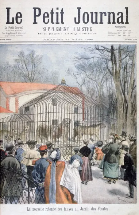 Framed Print : The new wildcat house at the Jardin des Plantes, Paris, 1895. Artist: Oswaldo Tofani Framed Print : The new wildcat house at the Jardin des Plantes, Paris, 1895. Artist: Oswaldo Tofani
