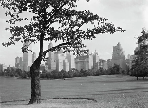 New York City views, Central Park, between 1931 and 1938. Creator: Arnold Genthe