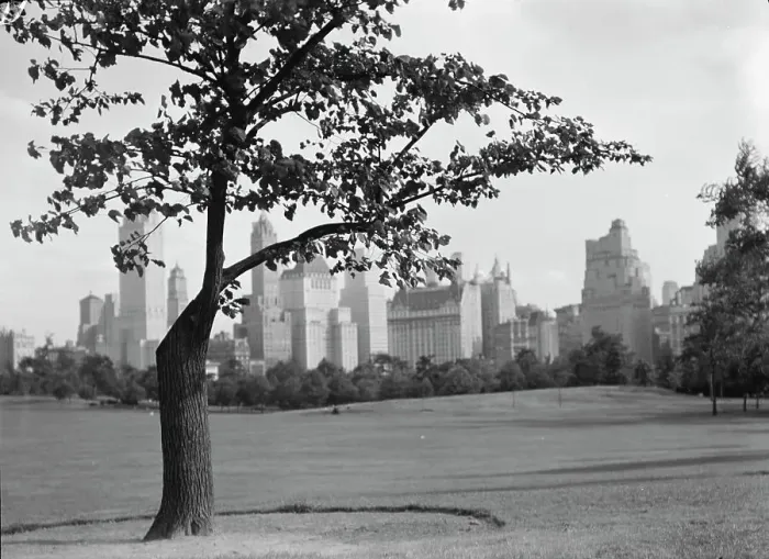 Framed Print : New York City views, Central Park, between 1931 and 1938. Creator: Arnold Genthe Framed Print : New York City views, Central Park, between 1931 and 1938. Creator: Arnold Genthe