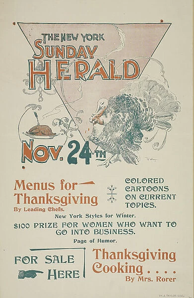 The New York Sunday herald. Nov. 28th. c1895. Creator: Charles Hubbard Wright