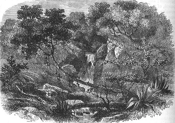 New Zealand Landscape, c1880