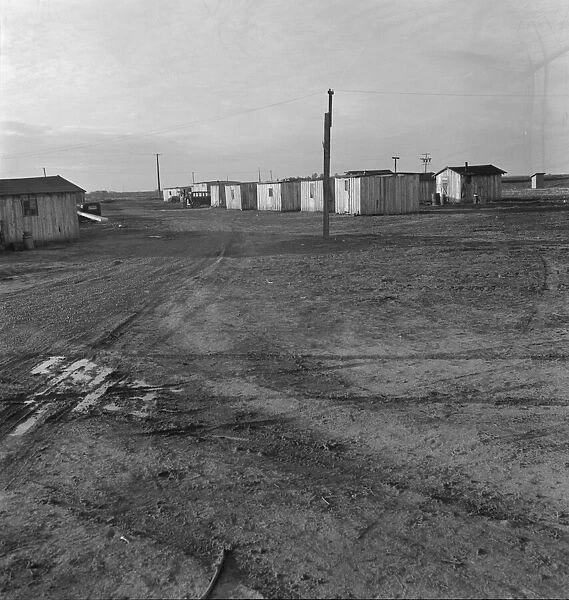 Newly-built cabins, rent five dollars per month, near Bakersfield, California, 1939. Creator: Dorothea Lange