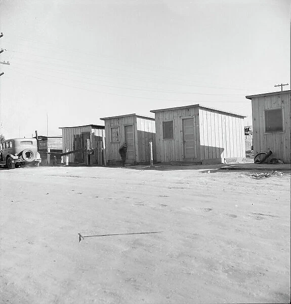 Newly-built cabins, rent five dollars per month, near Bakersfield, California, 1939. Creator: Dorothea Lange