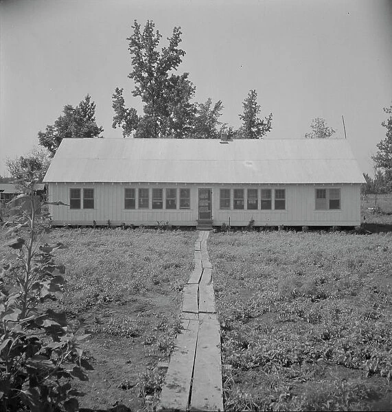 Newly erected community house at the Delta cooperative farm, Hillhouse, Mississippi, 1937. Creator: Dorothea Lange