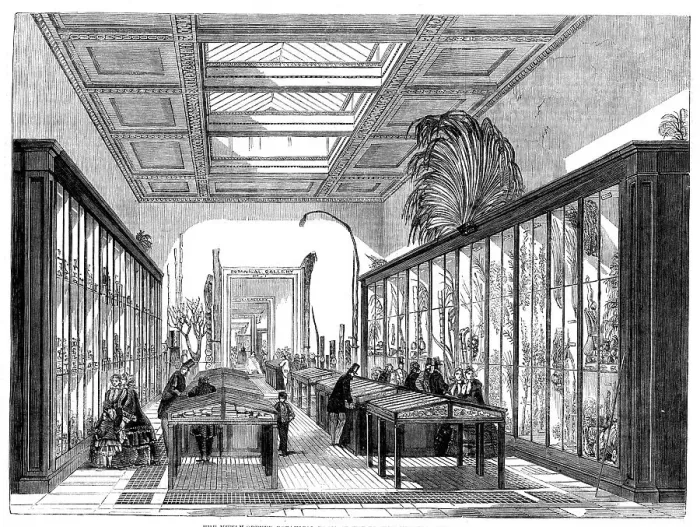 Framed Print : The Newly Opened Botanical Room at the British Museum, 1858. Creator: Unknown Framed Print : The Newly Opened Botanical Room at the British Museum, 1858. Creator: Unknown