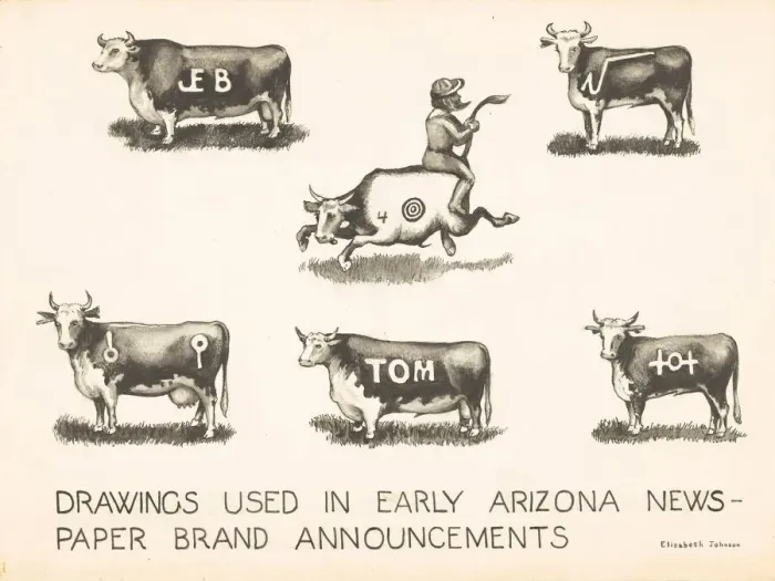 Framed Print : Newspaper Brand Announcements, c. 1942. Creator: Elizabeth Johnson Framed Print : Newspaper Brand Announcements, c. 1942. Creator: Elizabeth Johnson