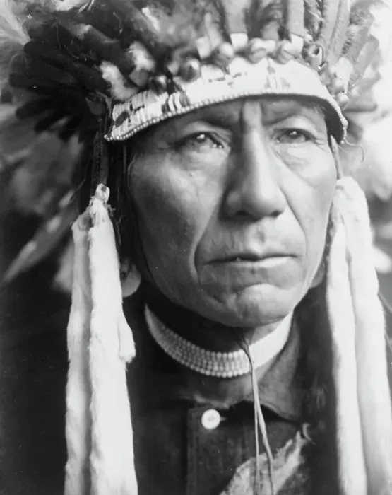 Framed Print : A Nez Percé, c1910. Creator: Edward Sheriff Curtis Framed Print : A Nez Percé, c1910. Creator: Edward Sheriff Curtis