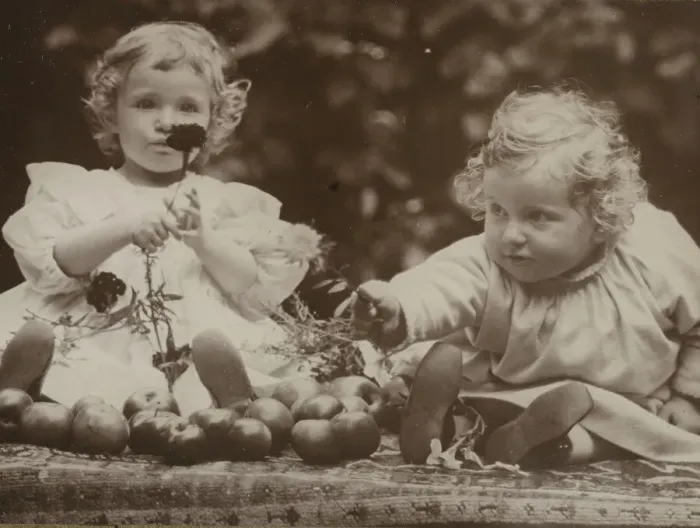 Framed Print : Nieces - Flora holding flower, and Hedwig, c. 1896. Creator: Alfred Stieglitz Framed Print : Nieces - Flora holding flower, and Hedwig, c. 1896. Creator: Alfred Stieglitz