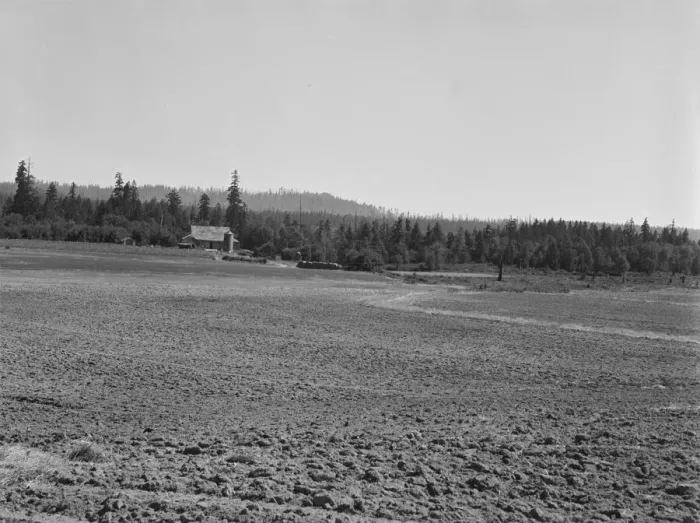 Framed Print : The Nieman farm showing cleared land on... near Vader, Lewis County, Western Washington, 1939. Creator: Dorothea Lange Framed Print : The Nieman farm showing cleared land on... near Vader, Lewis County, Western Washington, 1939. Creator: Dorothea Lange