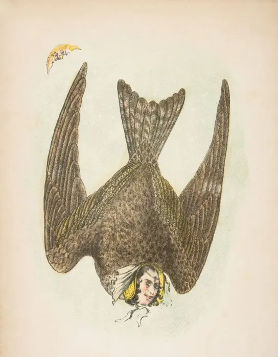 Framed Print : Night Hawk, from The Comic Natural History of the Human Race, 1851 Framed Print : Night Hawk, from The Comic Natural History of the Human Race, 1851