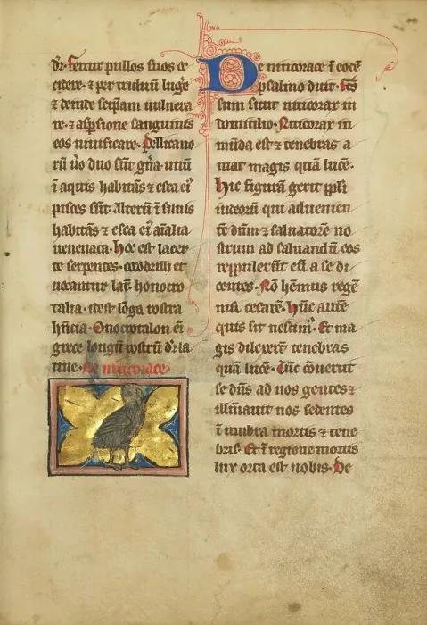 Framed Print : A Night Heron; De Natura Avium; De Pastoribus et Ovibus; Bestiarium, 1277 or after. Creator: Unknown Framed Print : A Night Heron; De Natura Avium; De Pastoribus et Ovibus; Bestiarium, 1277 or after. Creator: Unknown
