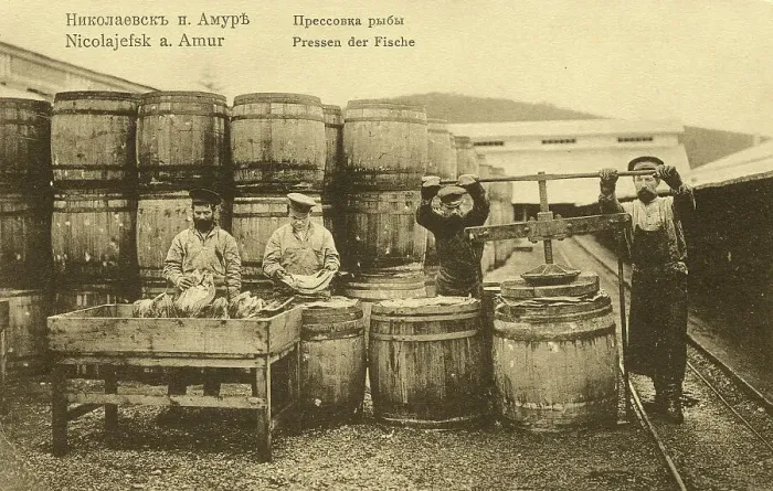 Framed Print : Nikolaevsk-on-Amur. Pressing fish, 1900. Creator: Unknown Framed Print : Nikolaevsk-on-Amur. Pressing fish, 1900. Creator: Unknown