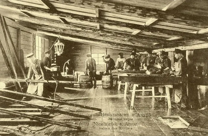 Framed Print : Nikolaevsk-on-Amur. Salting caviar, 1900. Creator: Unknown Framed Print : Nikolaevsk-on-Amur. Salting caviar, 1900. Creator: Unknown