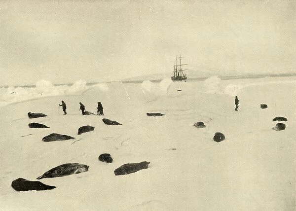 The Nimrod at Pram Point on March 4, 1909