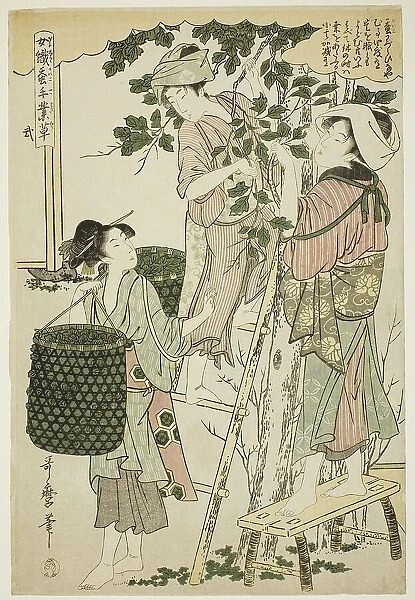 No. 2 (ni), from the series 'Women Engaged in the Sericulture Industry (Joshoku kaiko...c.1798 / 1800. Creator: Kitagawa Utamaro. No. 2 (ni), from the series 'Women Engaged in the Sericulture Industry (Joshoku kaiko...c.1798 / 1800)