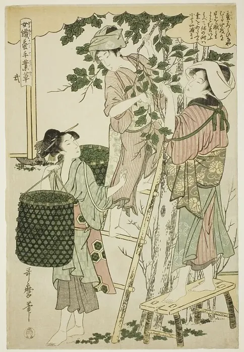 Framed Print : No. 2 (ni), from the series Women Engaged in the Sericulture Industry (Joshoku kaiko...c.1798 / 1800. Creator: Kitagawa Utamaro. No. 2 (ni), from the series Women Engaged in the Sericulture Industry (Joshoku kaiko...c.1798 / 1800) Framed Print : No. 2 (ni), from the series Women Engaged in the Sericulture Industry (Joshoku kaiko...c.1798 / 1800. Creator: Kitagawa Utamaro. No. 2 (ni), from the series Women Engaged in the Sericulture Industry (Joshoku kaiko...c.1798 / 1800)
