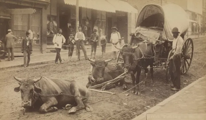 Framed Print : No. 2009, Taking a Rest, 1890-1895. Creator: Thomas H. Lindsey Framed Print : No. 2009, Taking a Rest, 1890-1895. Creator: Thomas H. Lindsey