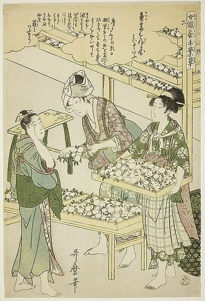 No. 6 (roku), from the series 'Women Engaged in the Sericulture Industry (Joshoku... c1798 / 1800. Creator: Kitagawa Utamaro. No. 6 (roku), from the series 'Women Engaged in the Sericulture Industry (Joshoku... c1798 / 1800)
