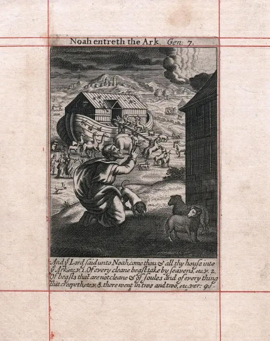 Framed Print : Noahs Ark - the animals going in two by two, 1716 Framed Print : Noahs Ark - the animals going in two by two, 1716
