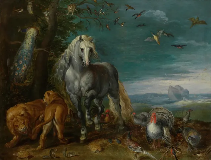 Framed Print : Noah's Ark. Creator: Jan van Kessel Framed Print : Noah's Ark. Creator: Jan van Kessel