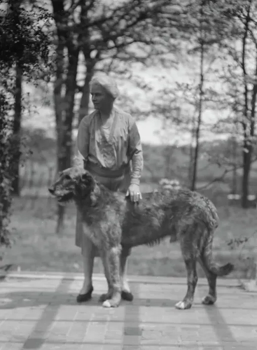 Framed Print : Noland, Charlotte, Miss, with dog, standing outdoors, 1931 May 8. Creator: Arnold Genthe Framed Print : Noland, Charlotte, Miss, with dog, standing outdoors, 1931 May 8. Creator: Arnold Genthe