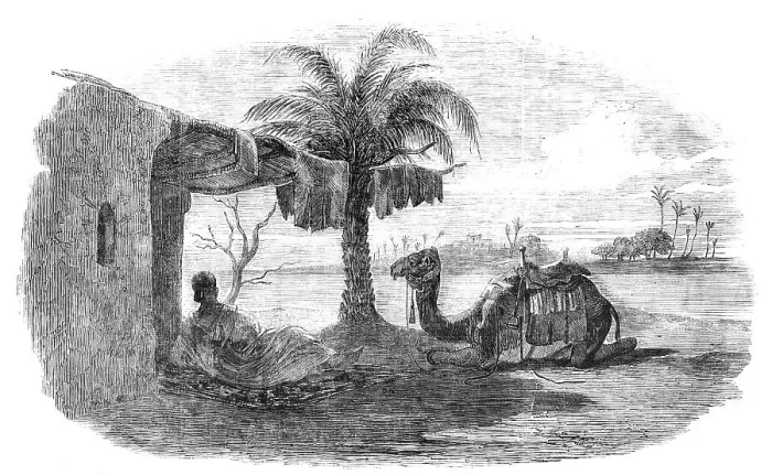 Framed Print : Noonday Shelter, 1857. Creator: Unknown Framed Print : Noonday Shelter, 1857. Creator: Unknown