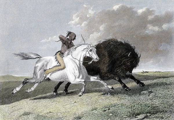 North American Indian hunting buffalo, 1861
