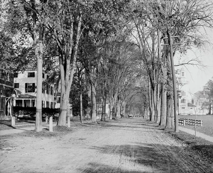 Framed Print : North Main Street, Dartmouth College, ca 1900. Creator: Unknown Framed Print : North Main Street, Dartmouth College, ca 1900. Creator: Unknown