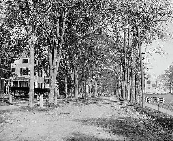 North Main Street, Dartmouth College, ca 1900. Creator: Unknown