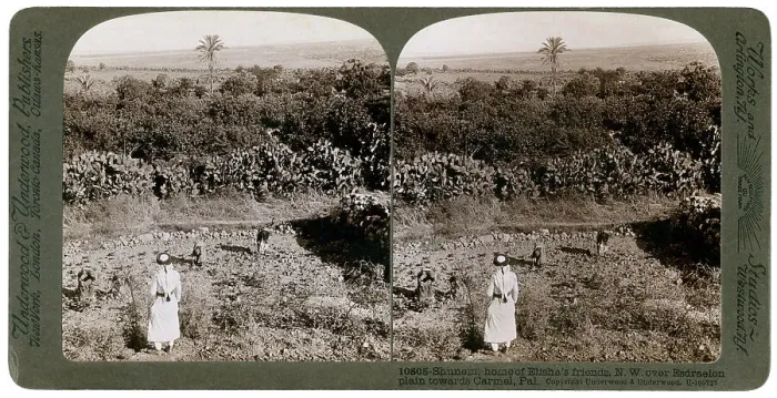 Framed Print : The north-west view from Shunem, across the Plain of Esdraelon, towards Carmel, 1900s. Artist: Underwood & Underwood Framed Print : The north-west view from Shunem, across the Plain of Esdraelon, towards Carmel, 1900s. Artist: Underwood & Underwood