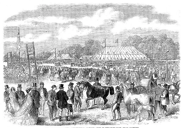 The Northamptonshire Agricultural Society's show in Burghley Park, near Stamford, 1862. Creator: Unknown