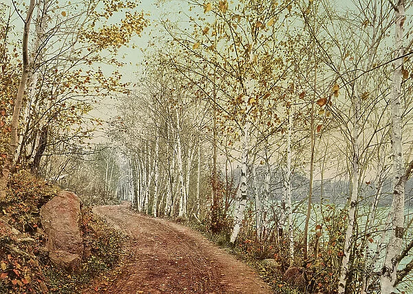 A Northern autumn, c1898. Creator: Unknown