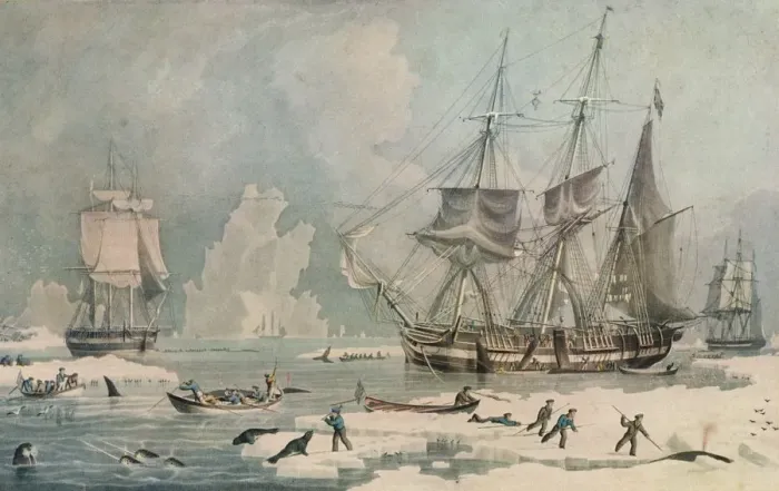 Framed Print : Northern Whale Fishery, c1829. Artist: Edward Duncan Framed Print : Northern Whale Fishery, c1829. Artist: Edward Duncan