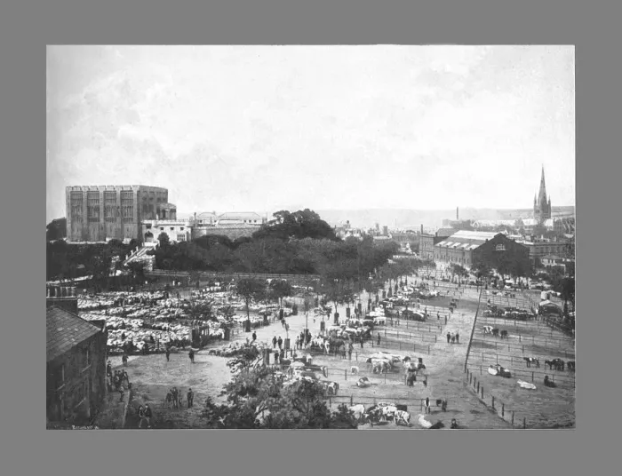 Framed Print : Norwich: Castle, Cattle Market, and Cathedral, c1900. Artist: William Lewis Shrubsole Framed Print : Norwich: Castle, Cattle Market, and Cathedral, c1900. Artist: William Lewis Shrubsole