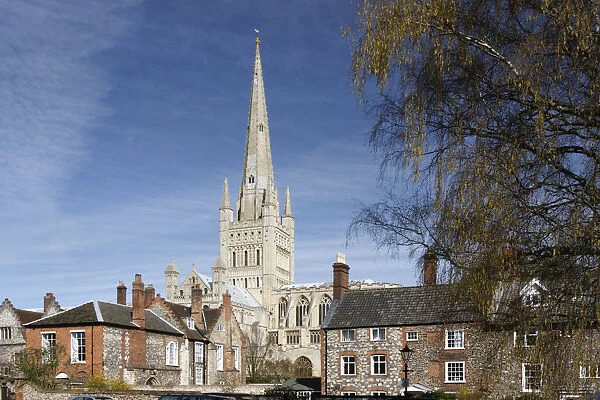 Norwich Cathedral, Norfolk, 2010
