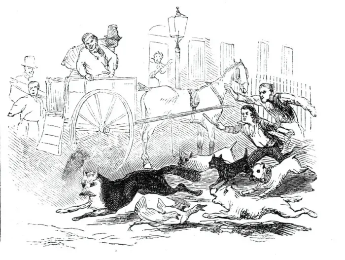 Framed Print : Novel fox hunt, 1844. Creator: Unknown Framed Print : Novel fox hunt, 1844. Creator: Unknown