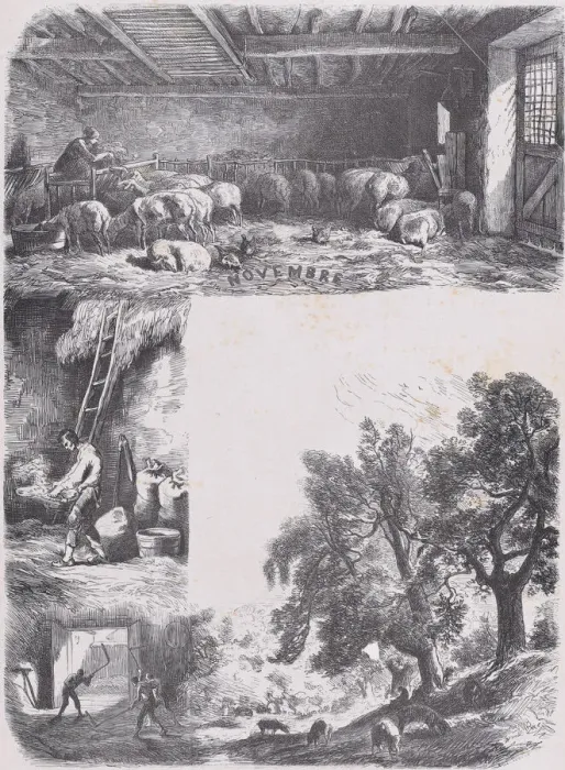 Framed Print : November from Album of Rustic Subjects, 1859. Creator: Jacques-Adrien Lavieille Framed Print : November from Album of Rustic Subjects, 1859. Creator: Jacques-Adrien Lavieille