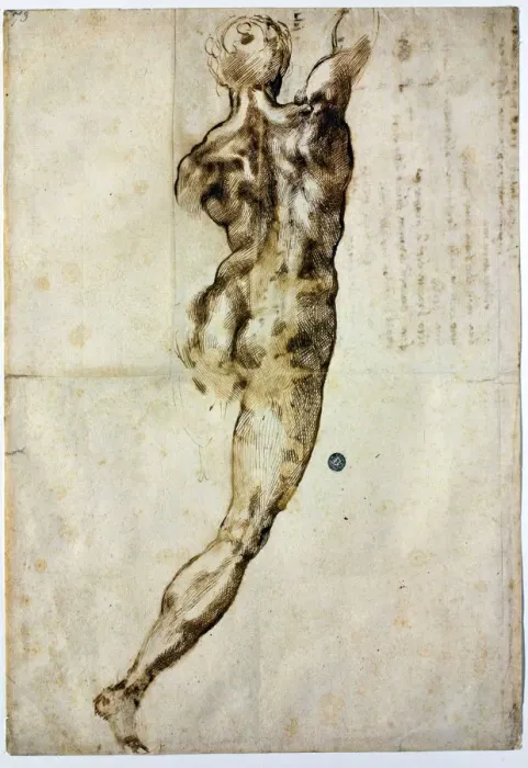 Framed Print : Nude from behind, c. 1504. Artist: Buonarroti, Michelangelo (1475-1564) Framed Print : Nude from behind, c. 1504. Artist: Buonarroti, Michelangelo (1475-1564)